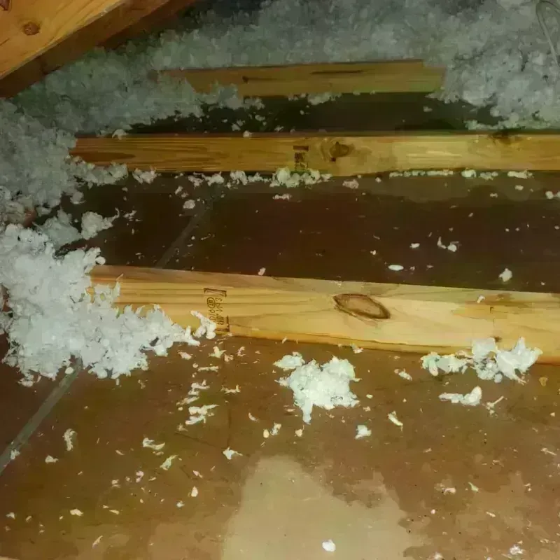 Attic Water Damage in Selma, AL