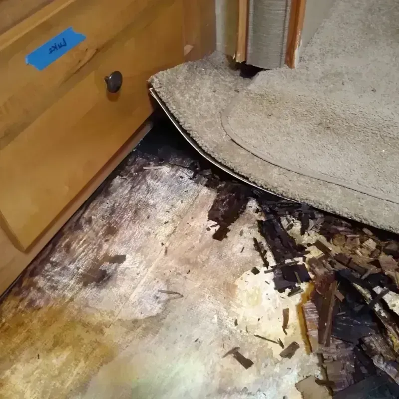 Wood Floor Water Damage in Selma, AL